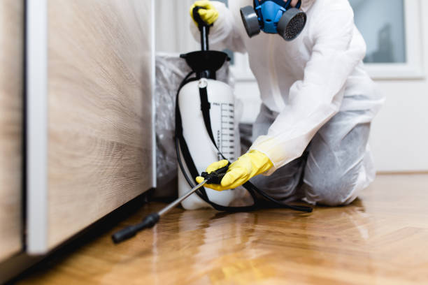 Best Exterminator Services  in New Richmond, WI