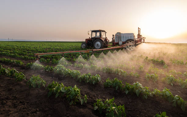 Reliable New Richmond, WI Pest Control Solutions