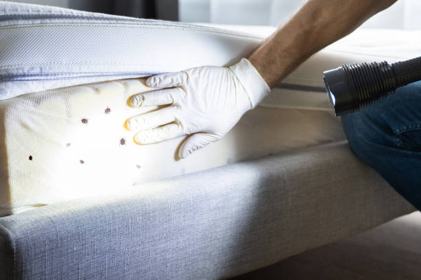 Pest Control Cost in New Richmond, WI