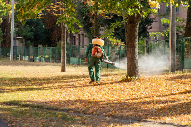 Wasp Removal Services in New Richmond, WI