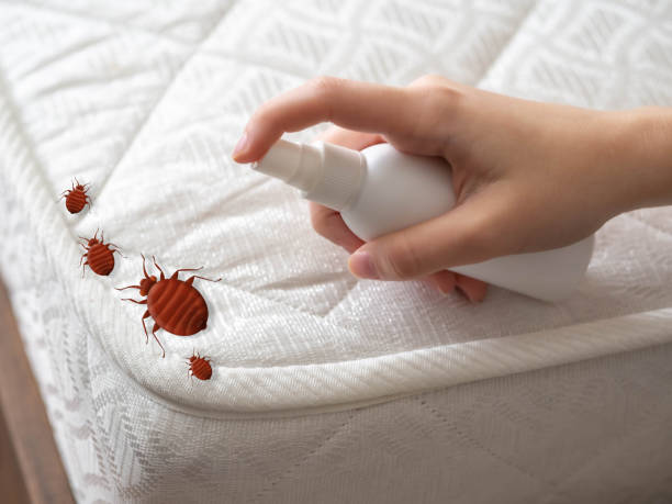 Best Wildlife Control Services  in New Richmond, WI