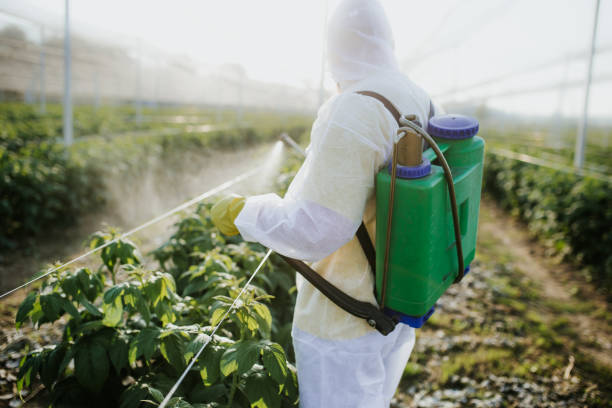 Best Flea Control Services  in New Richmond, WI